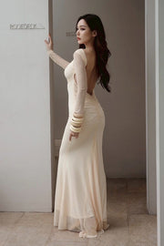Sheer Mesh Open Back Long Sleeve Maxi Dress