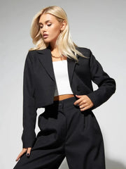 Spring Slim Wide Leg Pants Office Two Piece Set