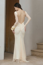Sheer Mesh Open Back Long Sleeve Maxi Dress