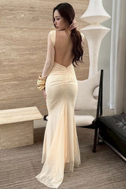 Sheer Mesh Open Back Long Sleeve Maxi Dress
