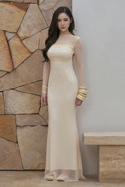 Sheer Mesh Open Back Long Sleeve Maxi Dress