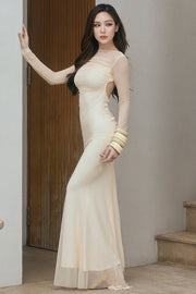 Sheer Mesh Open Back Long Sleeve Maxi Dress